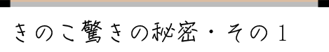 ���̂������̔閧�E���̂P