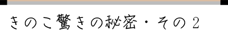 ���̂������̔閧�E���̂P