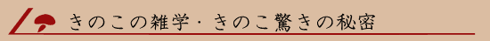 ���̂��̎G�w�E���̂������̔閧