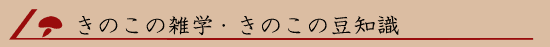 ���Ԍn�ɂ����邫�̂��̖���