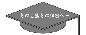 ���̂������̔閧�ցA�����N