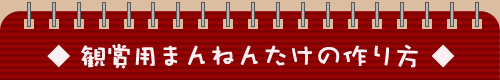 �Ϗܗp�܂�˂񂽂��̍���
