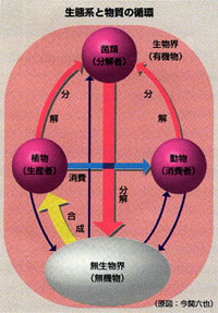 生態系と物質の循環の図