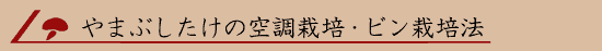 ��܂Ԃ������̋󒲍͔|�E�r���͔|�@