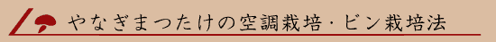 ��Ȃ��܂����̋󒲍͔|�E�r���͔|�@