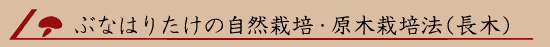 �ԂȂ͂肽���̎��R�͔|�E���؍͔|�@�i���؁j