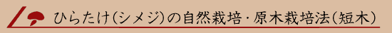 �Ђ炽���i�V���W�j�̎��R�͔|�E���؍͔|�@�i�Z�؁j