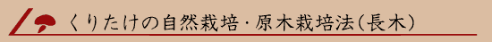 ���肽���̎��R�͔|�E���؍͔|�@�i���؁j