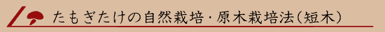 �����������̎��R�͔|�E���؍͔|�@�i�Z�؁j