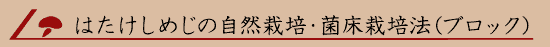 �͂������߂��̎��R�͔|�E�ۏ��͔|�@�i�u���b�N�j
