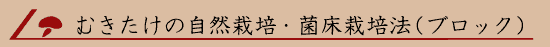 �ނ������̎��R�͔|�E�ۏ��͔|�@�i�u���b�N�j