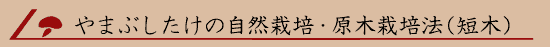 ��܂Ԃ������̎��R�͔|�E���؍͔|�@�i�Z�؁j