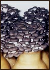 H67��
