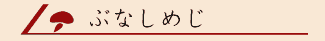 �܂������^�C�g���摜