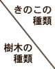 きのこの種類と樹木の種類