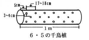 6・５の千鳥植