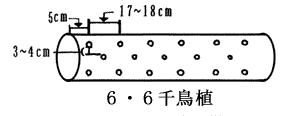 ７・６千鳥植