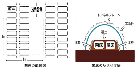 菌床の配置図＆地伏せ方法画像